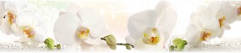Кухонный фартук КМ 155 Орхидея Капли Цветы в Северо-Енисейском - severo-enisejskij.mebel54.com | фото